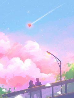 （许清清林轩顾铨）蜜月旅行捎上骨灰盒，她把小命作没了小说整书在线阅读连载中_本站精选
