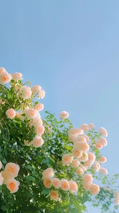 (番外)+(全文)过往不会再重来（亦舟温书阮瑶瑶谢明宇）完整全文在线阅读_过往不会再重来免费阅读免费阅读_笔趣阁（亦舟温书阮瑶瑶谢明宇）